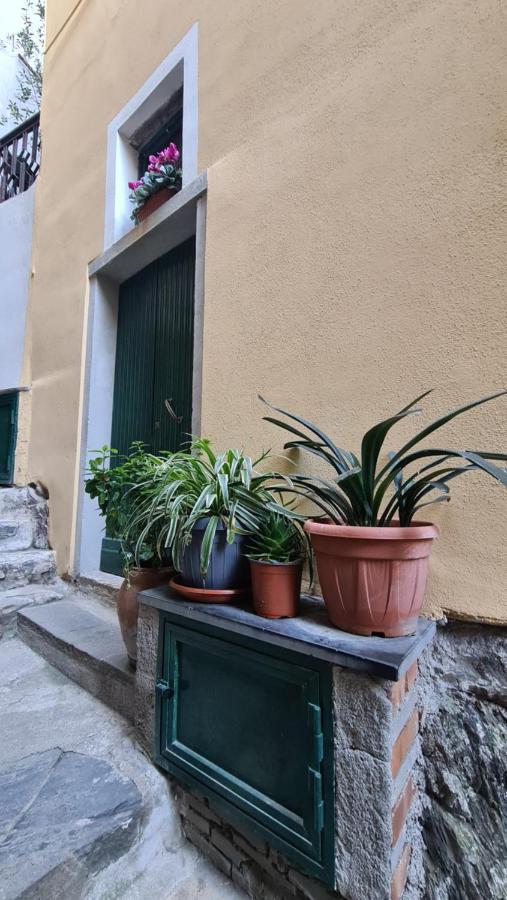 La Casa Di Ia Apartment Vernazza Luaran gambar